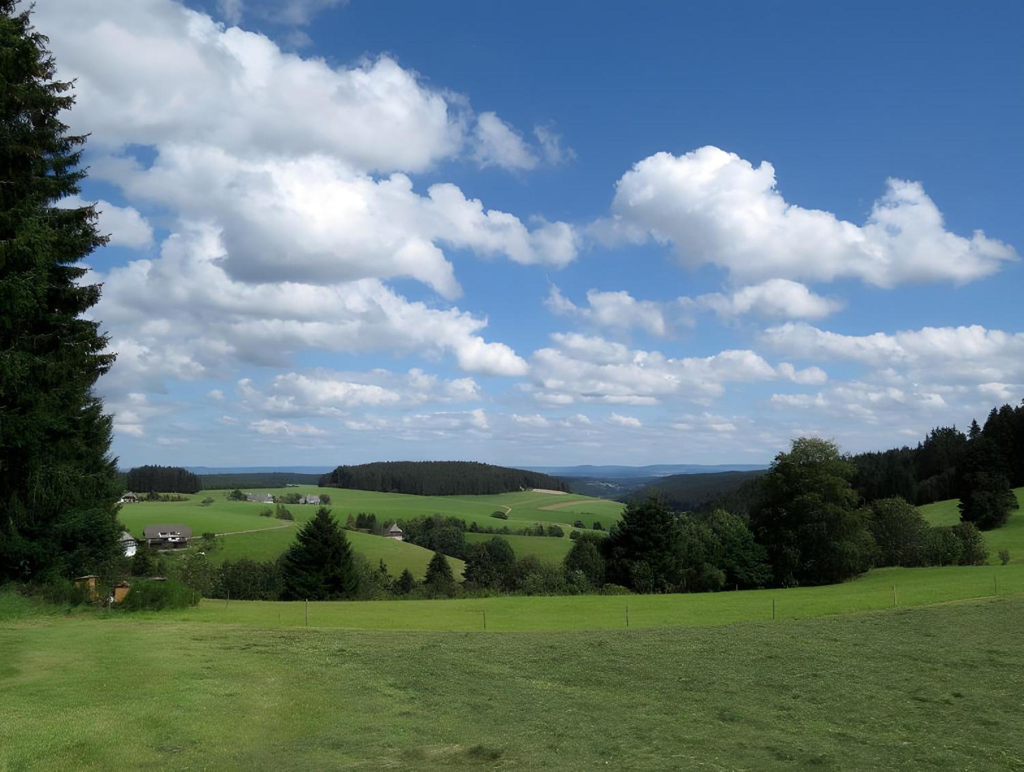 Ferienhaus Isele Feldberg  Buitenkant foto