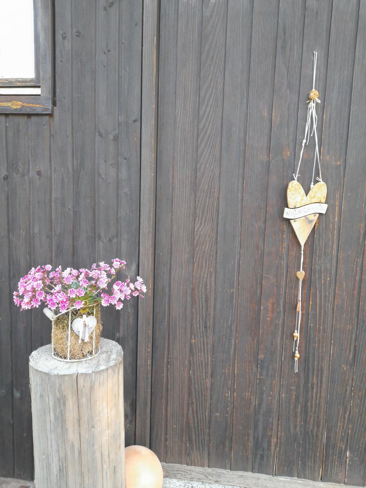 Ferienhaus Isele Feldberg  Buitenkant foto